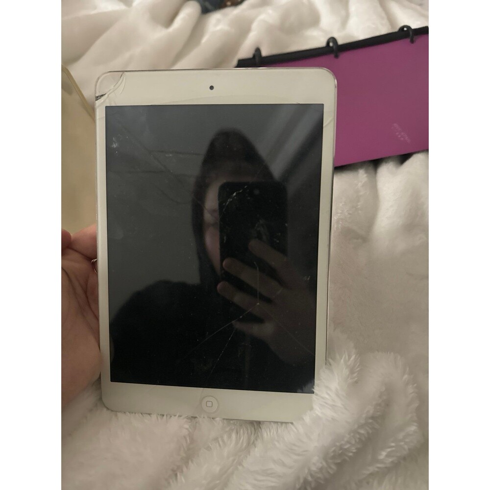 iPad Mini